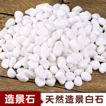 Fish tank landscaping bottom sand Aquarium water grass bottom sand mud decoration pearl sand potted micro-landscape white jade colored stone