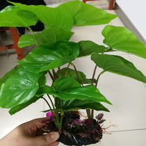  Simulation water plants fish tank decoration landscaping package Aquarium plants lazy people take care of fake grass background landscape water banyan tree