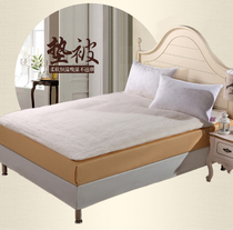 Cotton wool cushion quilted by cotton tire cushion quilted by student cotton quilted mattress bedding quilted by the core single spring autumn and winter quilted by bedding Chongqing