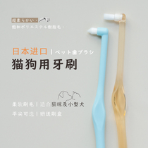 (Pointed flat head optional) Cat toothbrush Japan imported ci pet cat small dog soft hair small head toothbrush