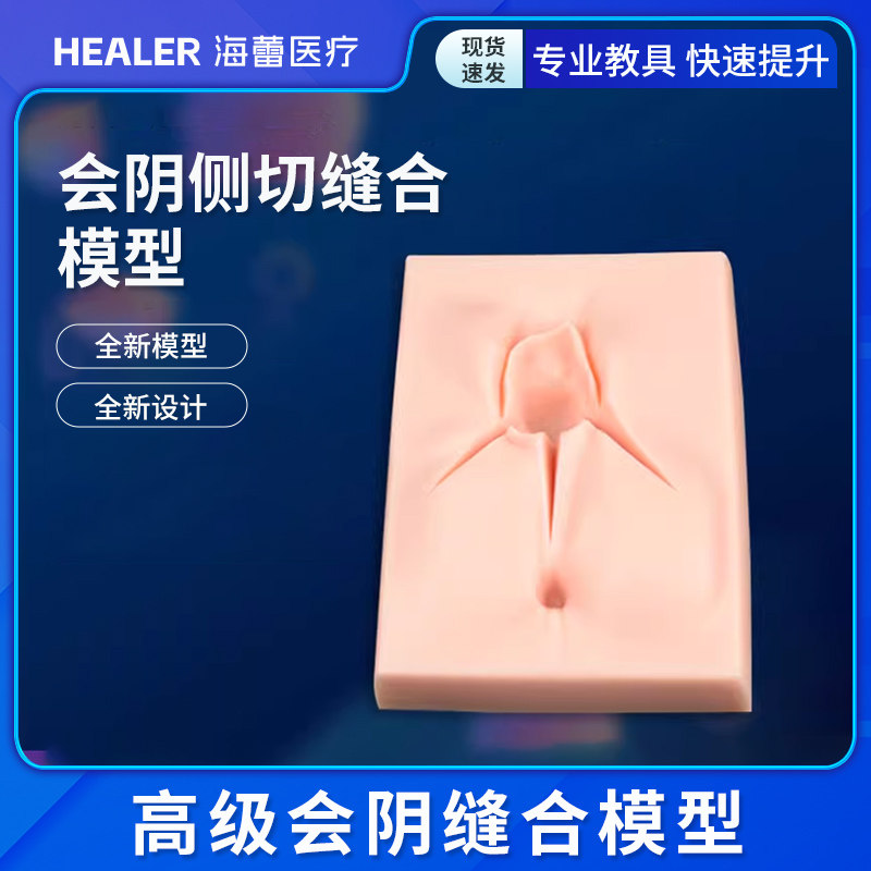 会阴侧切缝合模型 外阴撕裂缝合练习模型 女性生殖计生会阴模型