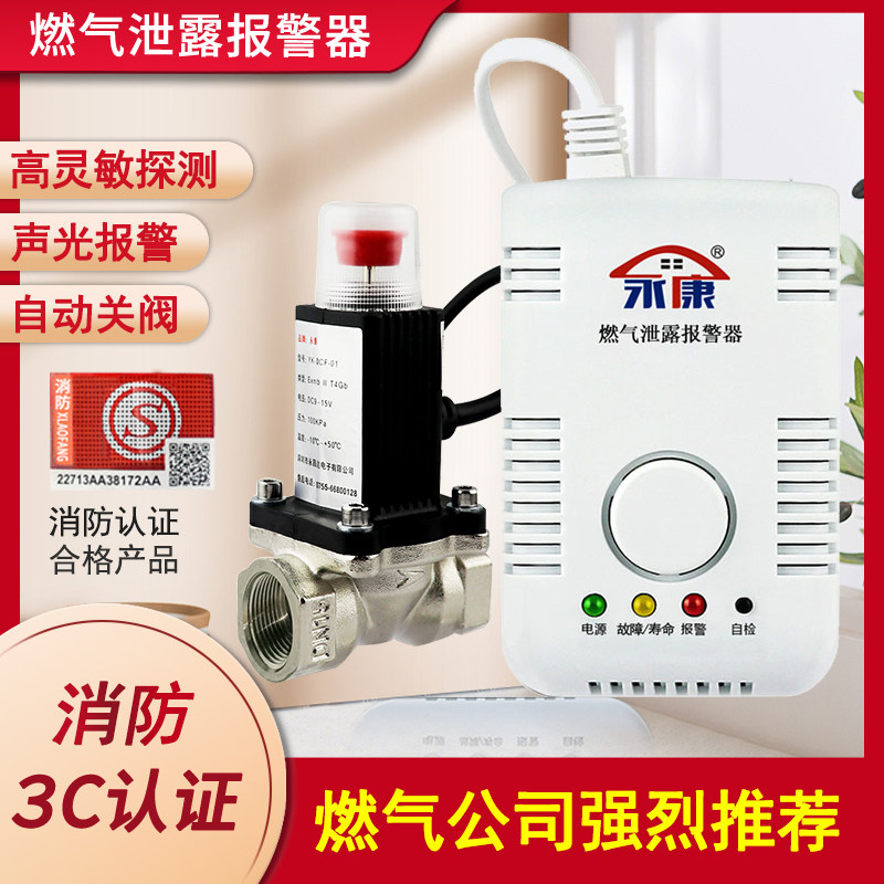 Yongkang Household Gas Siren Indoor Kitchen Gas Gas Leak automatically cut off solenoid valve straight through valve