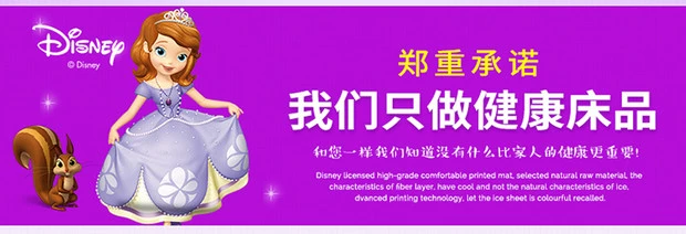 Disney Princess Ice 丝席索菲亚 cô gái 0.9m1.35 Mika ghế điều hòa nhiệt độ thông qua mat ngủ mùa hè thực hiện để đặt - Thảm mùa hè