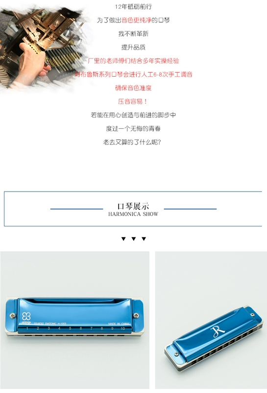 Bruce Blues 10 Lỗ 20 Giai điệu C Harmonica Người lớn Trẻ em Sinh viên Mới bắt đầu Chơi chuyên nghiệp Nhạc cụ làm vườn - Nhạc cụ phương Tây