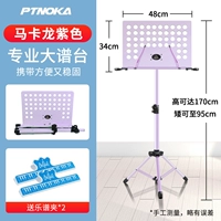 1,7 м Макарон Фиолетовый+Спектр -клип
