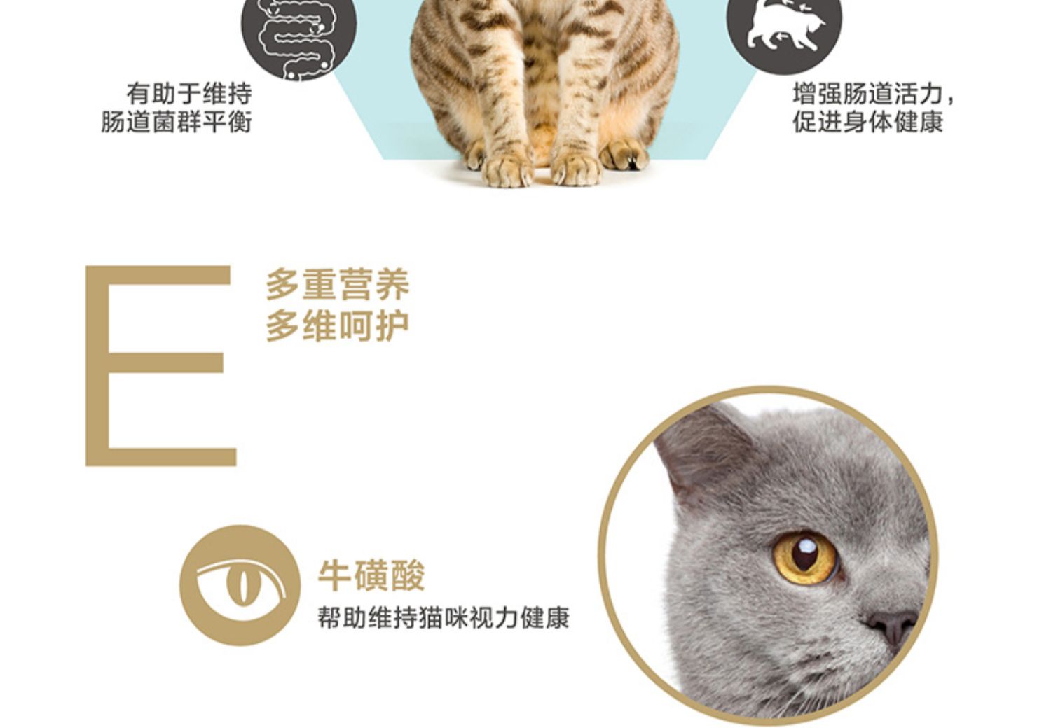 Mèo Kingkitty mèo mèo đóng hộp mèo mèo đồ ăn nhẹ thức ăn ướt mèo thực phẩm đối tác mèo đóng hộp 80g * 6 - Đồ ăn nhẹ cho mèo thức ăn cho thú cưng