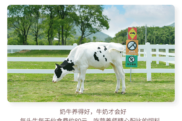 认养一头牛 高端法式酸奶230g*10瓶*2提 图6