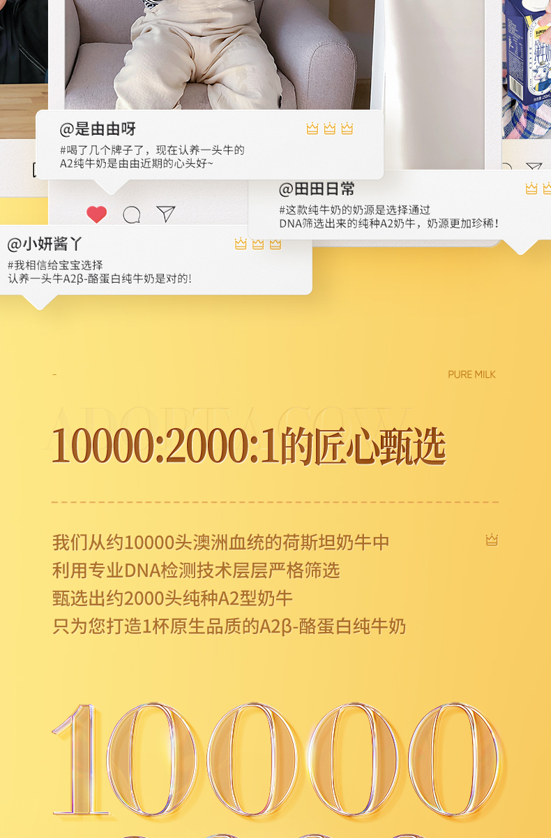 认养一头牛 A2β-酪蛋白 纯牛奶250ml*10盒*2箱 图6