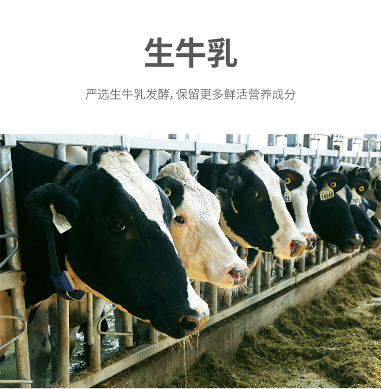 认养一头牛 自然本味0添加 低温酸奶240g*10瓶 图4