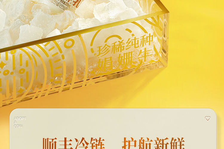 认养一头牛 冷藏娟姗牛乳200ml*10瓶 新鲜配送 图23