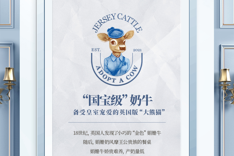 认养一头牛 梦幻盖 娟姗纯牛奶 250mL*10盒*2提 图4