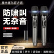 雅米塞尔无线麦克风一拖一二家用唱歌通用KTV音响专用声卡
