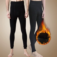 2 quần ấm mùa thu quần nam quần quần legging cotton nguyên chất quần quần lót cộng với nhung dày mùa thu đông quần giữ nhiệt nam xuất khẩu