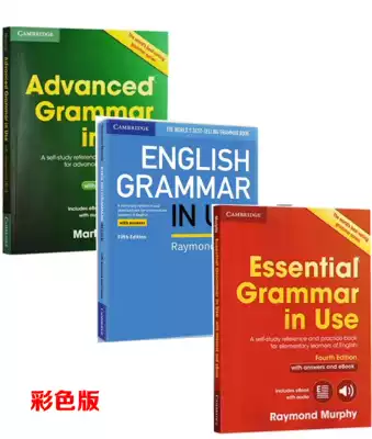 Cambridge English Grammar book Advanced Essential English Grammar in Use