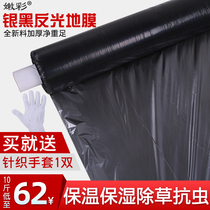 Plastic film agricultural silver black reflective film weeding planting weeding film insulation moisturizing vegetable greenhouse planting