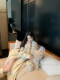 Ldtj High-End Knit Sweater Autumn Ladylike Lazy Style Fox Fur Collar Patchwork Mid-Length Wool Coat for Women