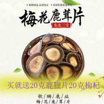 Jilin sika deer antler half wax 10G foot dry authentic whole branch fresh deer powder antler fresh deer antler gift box