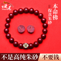 Cinnabar hand string female cow Natal Buddha bracelet Zodiac red purple gold sand transporter red hand string for men and women