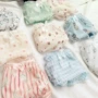 Nhật Bản dễ thương búp lụa sợi thấp eo quần lót cotton 裆 ngọt ngào gợi cảm mềm mại ít phụ nữ mỏng - Giữa eo quần lot