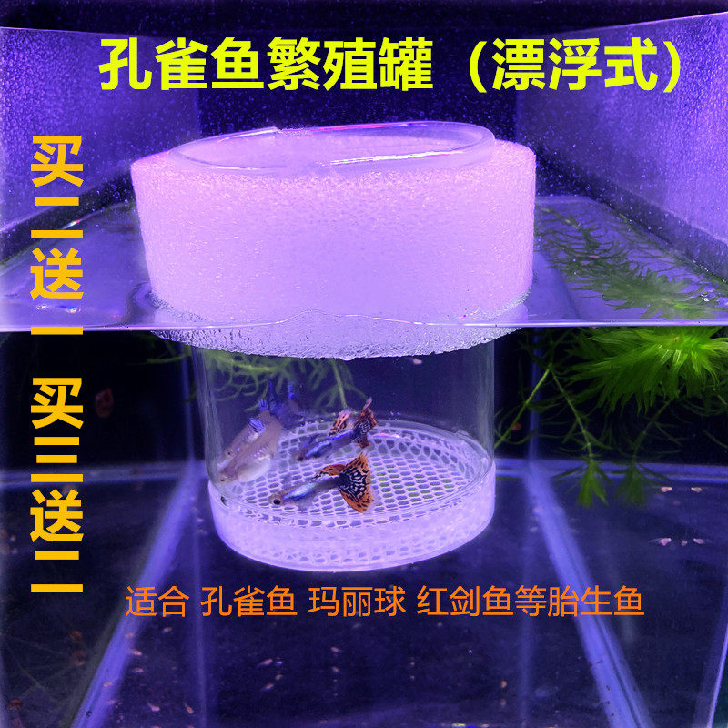 Mary Ball breeding box peacock breeding tank producing tank incubation net segregation net production tank small fish isolation box