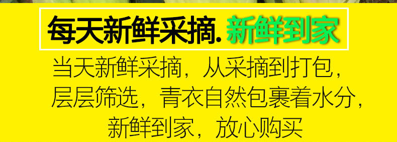 如花似月 云南新鲜水果玉米 10斤 图5