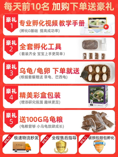 Фавориты плюс покупка и лимит подарочной инкубационной кабины черепах в одиночку, чтобы разместить заказы в одиночку