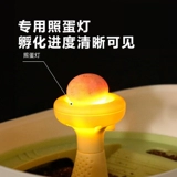 Фавориты плюс покупка и лимит подарочной инкубационной кабины черепах в одиночку, чтобы разместить заказы в одиночку