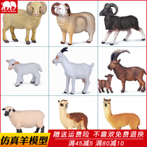 Simulated wildlife model Goat sheep toy Arbel Alpaca Ranch farm children cognitive ornaments gift