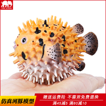 Simulation of marine biology model puffer fish toy animal model porpoise dolphin spiny puffer child science and education cognitive gift
