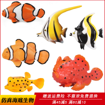 Simulation clownfish toy marine life animal model papaya fish Stone Fish fairy fish children cognitive gift