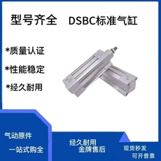 Цилиндр 标准气缸dsbc-32-20-25-40-50-63-80-100-125-50-80-160-ppva-n3