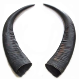 Yunnan Natural Bull Horn Horn Blackwater Blackwater Bull Horn Medicine Medicine Wine Fail