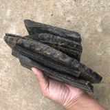 Натуральный буйвол на кусок нарезка сырья, лист говяжий рог, угловые, раскалывание, рама говяжий рога