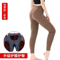 209 женских коленных подушек и бархатного верблюжьего цвета