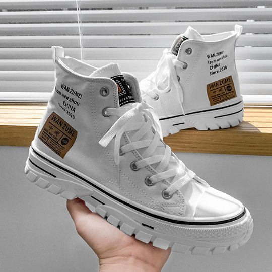 Men's shoes 2024 spring versatile men's heightened summer trendy cloth shoes casual sports breathable high-top canvas shoes