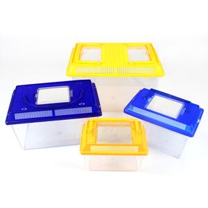 【本田dio70期小龟摩托车】_本田dio70期小龟