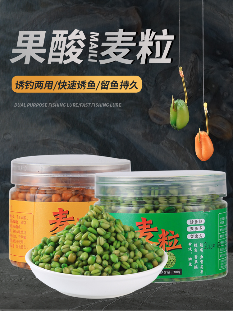 Mồi câu cá lúa mì axit trái cây, mồi câu cá trà, câu cá hoang dã, cá chép hố đen, mồi câu cá chép đen, thức ăn cho cá đặc biệt để câu cá mồi câu cá rô đồng mồi câu cá rô phi 