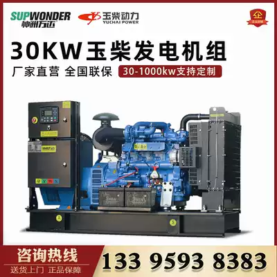Shenzhou Wanda 30kW Yuchai generator copper brushless motor 30kw generator using the alternate three-phase