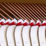 Шанхайский Пекин прокат пианино пианино пианино детские гастролирующие гастролирующие новые реки Жемчужина Новая река