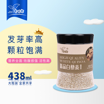 tct Shihua boutique white quinoa 438g canned baby food Companion Golden grain quinoa rice grains