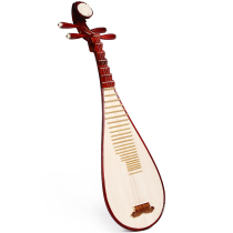 Acacia bird pipa musical instrument Beginner introduction Children adult Professional playing pipa mahogany string shaft Bakelite pipa