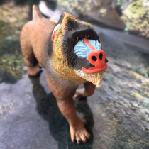 Boy toy American safari new mandrill Big Baboon static model doll ornaments gift free mail