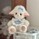 Handmade DIY Little Lamb Plush Toy LAOSHU Material Kit with Moving Ears and Recording Function, Cute Toy ins Gift