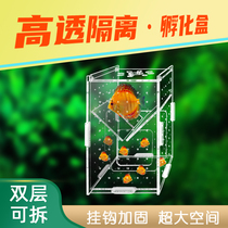 Guppy breeding isolation box acrylic fish tank hatching fry mother fish double-layer large delivery room betta fish breeding box