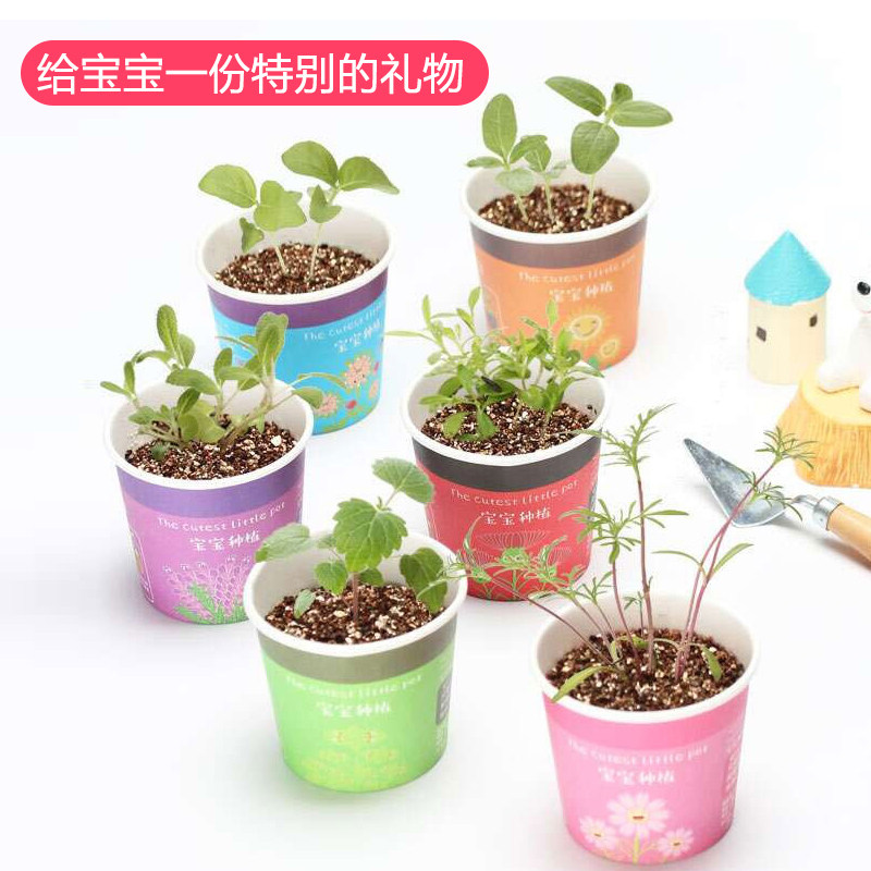 Kindergarten School Year Gift Special Gift Elementary School Children Creative Birthday Practical Potted Back Gift full class Share