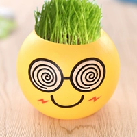 1 -е растения