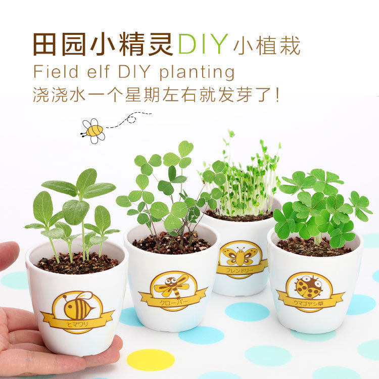 Creative diy mini green potted desktop plant novelty potted office bonsai kindergarten school gift