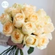 Джинджер Шампанское Роза 18