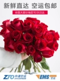 Розовые цветы цветы Yunnan прямые волосы Kunming Base Direct Parater of Qixi Букеты цветочных букетов цветов и цветов, свежие нарезанные цветы, передаваемые в одном и том же городе