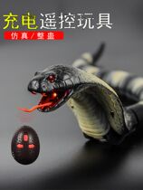 Fake snake toy tricky decompression scary remote control simulation cobra spider science and education animal electric pet funny cat